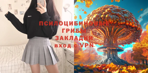 mdpv Арсеньев
